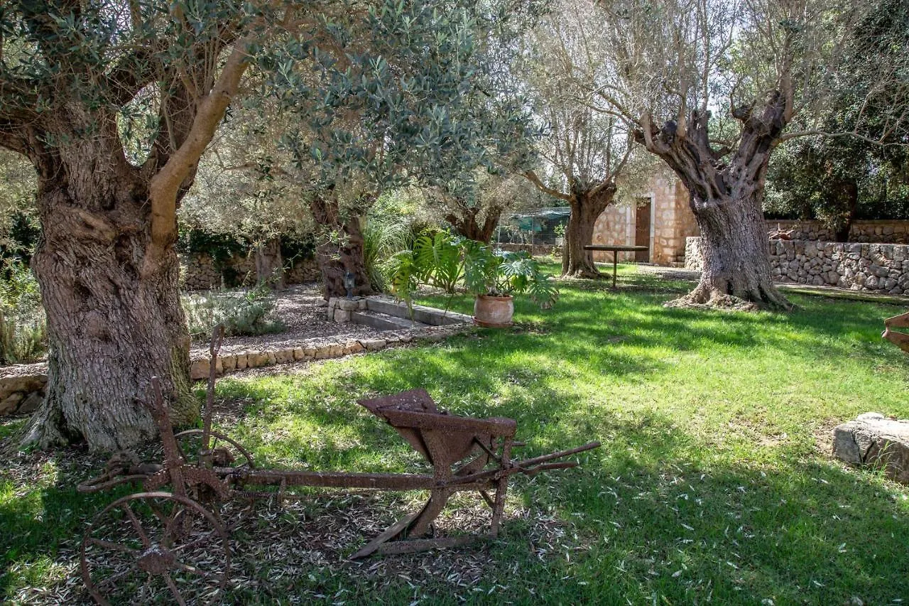 Villa Finca Son Moix Manacor  Spain